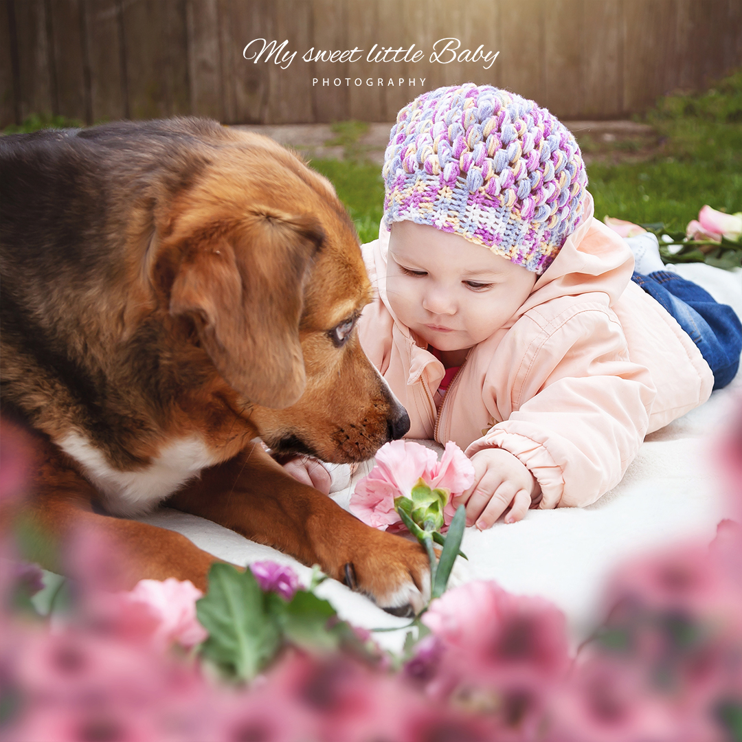 Babyfotos mit Hund zum Selbermachen - DIY Outdoorfotografie - My sweet little Baby - Mysweetlittlebaby Blog-Wenn du mit deinem Baby Outdoor-Fotos machen möchtest und dein Hund (oder anderes Haustier) soll auch mit auf das Foto, dann habe ich hier eine kleine Inspiration und Foto-Anleitung für dich. Ich erzähle dir von meinem Baby-Fotoshooting mit einer süßen Hundedame.